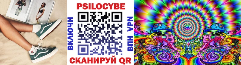 Псилоцибиновые грибы Magic Shrooms  как найти закладки  Черногорск 